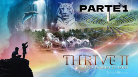 THRIVE PARTE 1